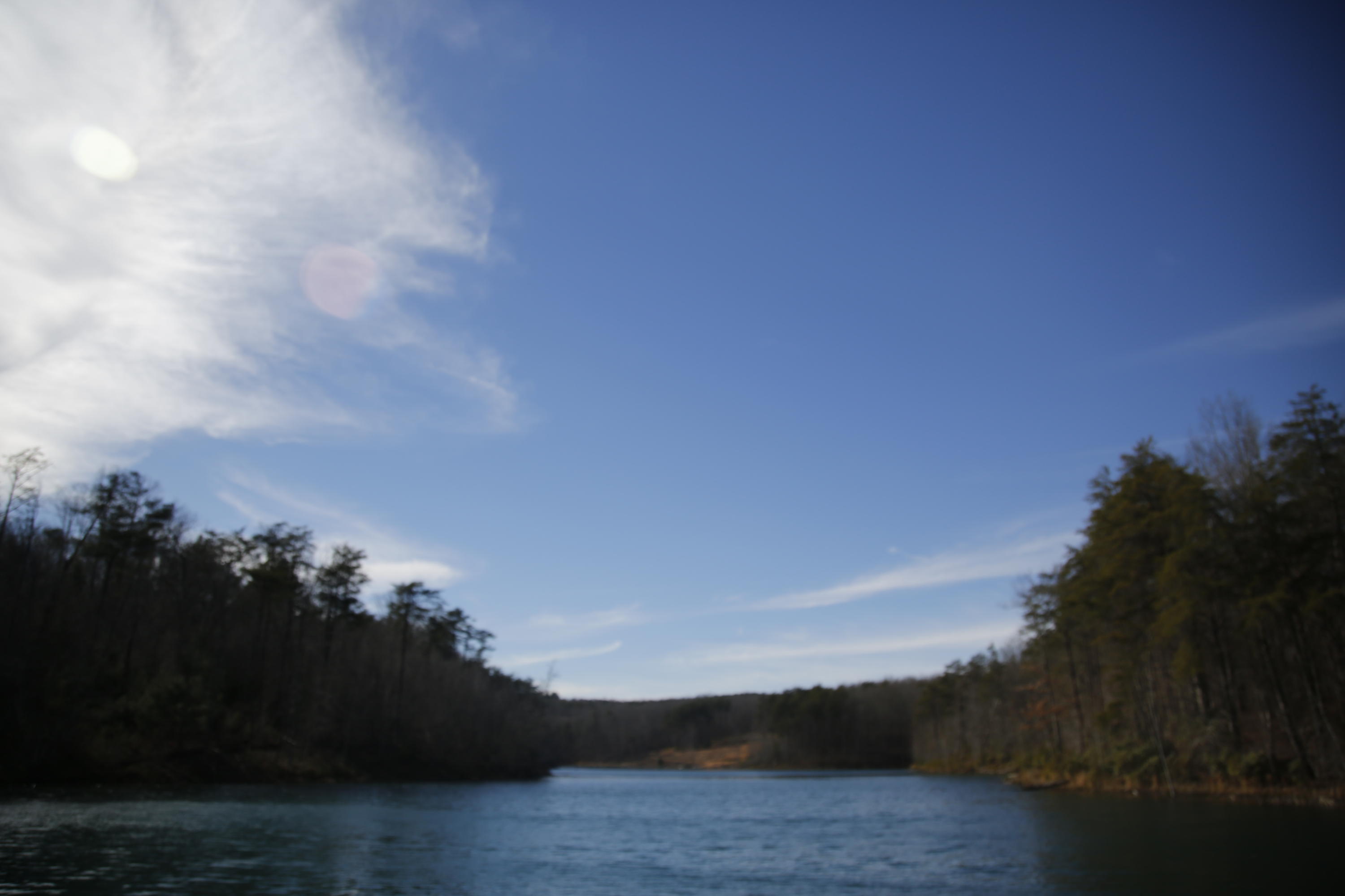 Lot #5 Timberlake Development Spring, Unit 5 Spring City, TN 37381 - Photo 12 of 13 _62A5552
