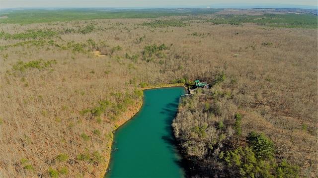Lot #5 Timberlake Development Spring, Unit 5 Spring City, TN 37381 - Photo 13 of 13 DJI_0357 (002) lake greened