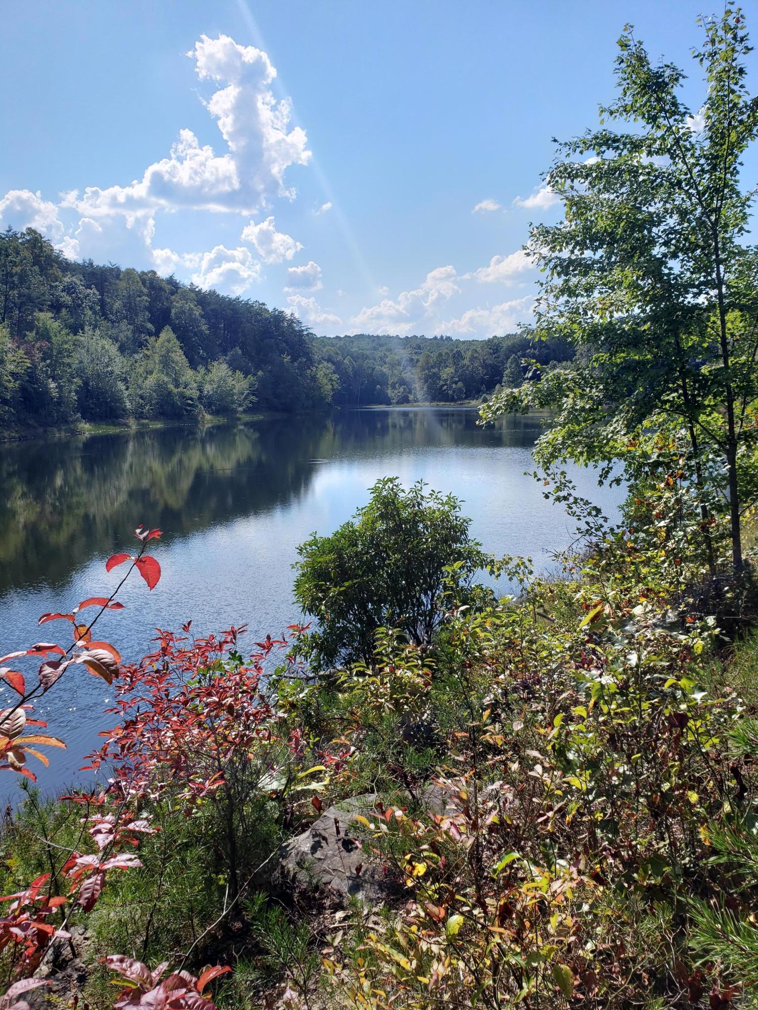 Lot #5 Timberlake Development Spring, Unit 5 Spring City, TN 37381 - Photo 3 of 13 20190915_161107
