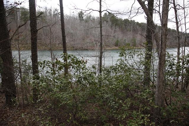 Lot #5 Timberlake Development Spring, Unit 5 Spring City, TN 37381 - Photo 8 of 13 _62A5726