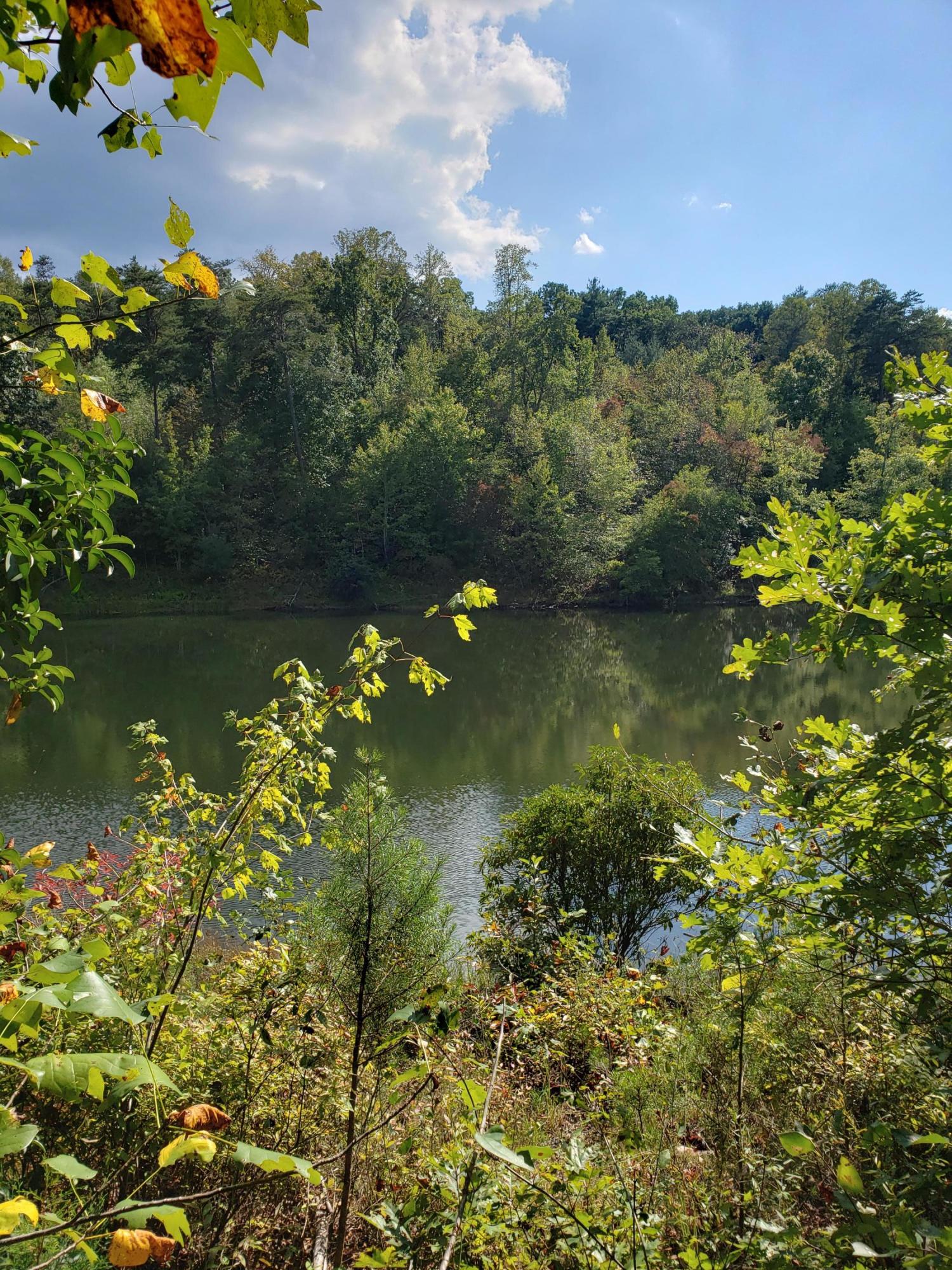 Lot #5 Timberlake Development Spring, Unit 5 Spring City, TN 37381 - Photo 9 of 13 20190915_161040