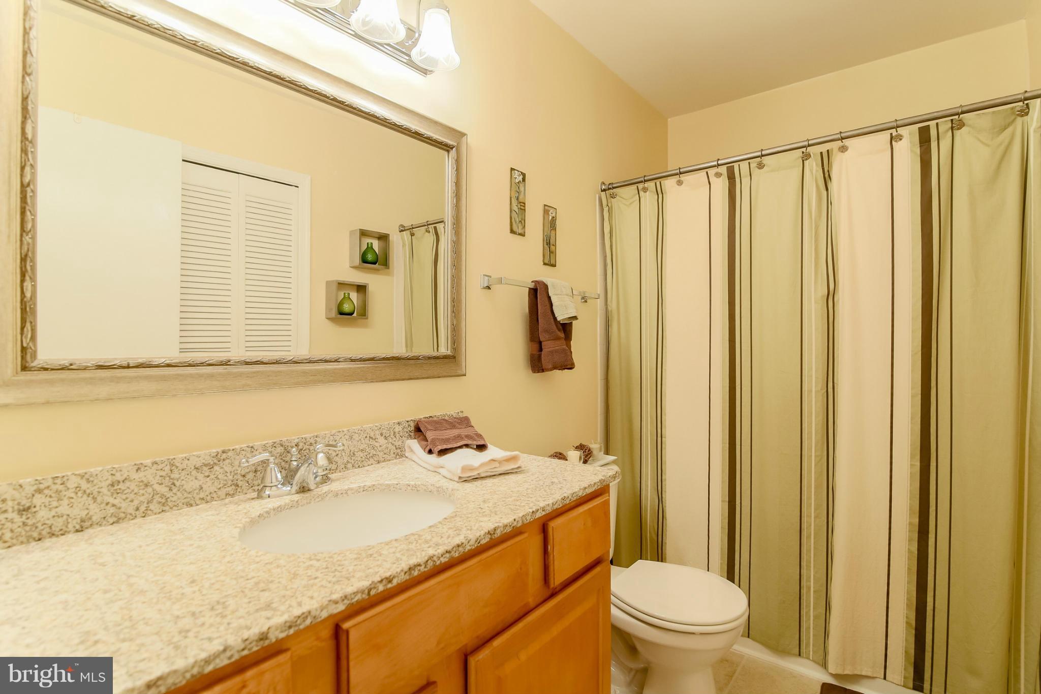 3175 Summit Square Drive, Unit 5E8 Oakton, VA 22124 - Photo 14 of 27 Bath