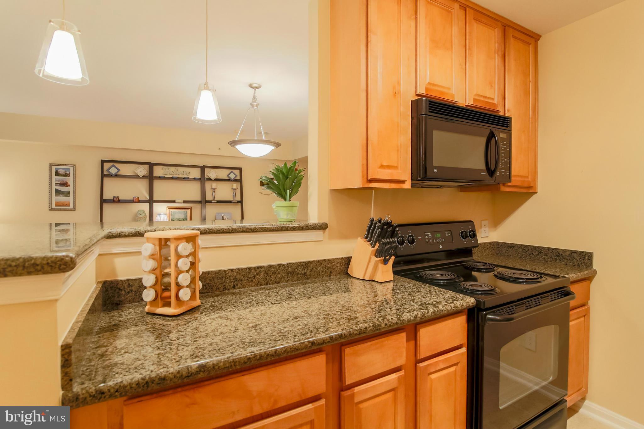 3175 Summit Square Drive, Unit 5E8 Oakton, VA 22124 - Photo 5 of 27 Kitchen