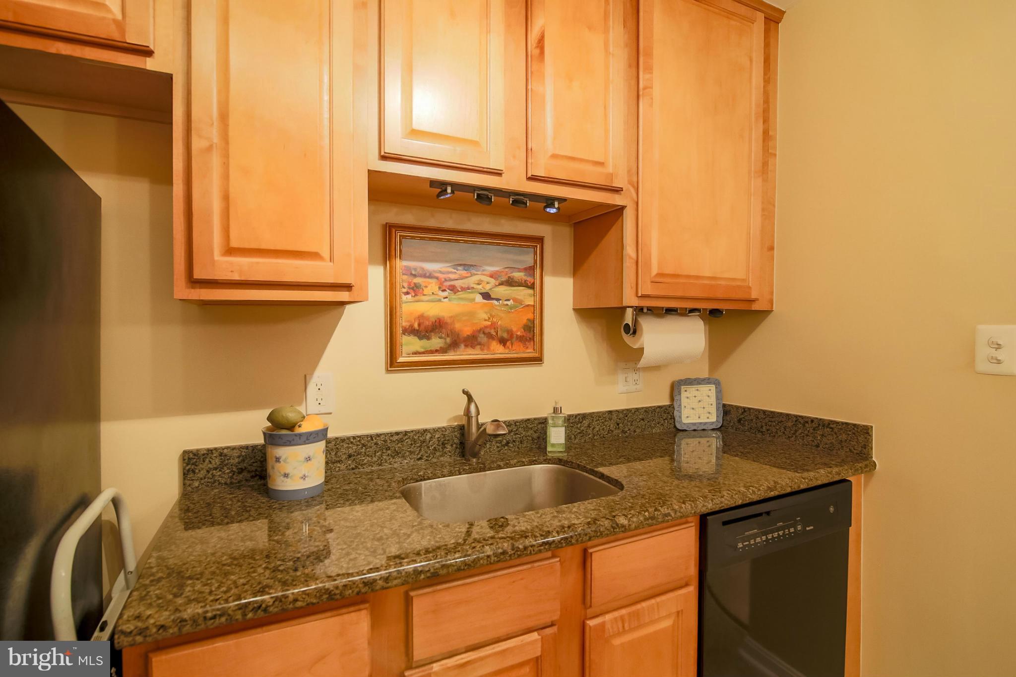 3175 Summit Square Drive, Unit 5E8 Oakton, VA 22124 - Photo 7 of 27 Kitchen Sink