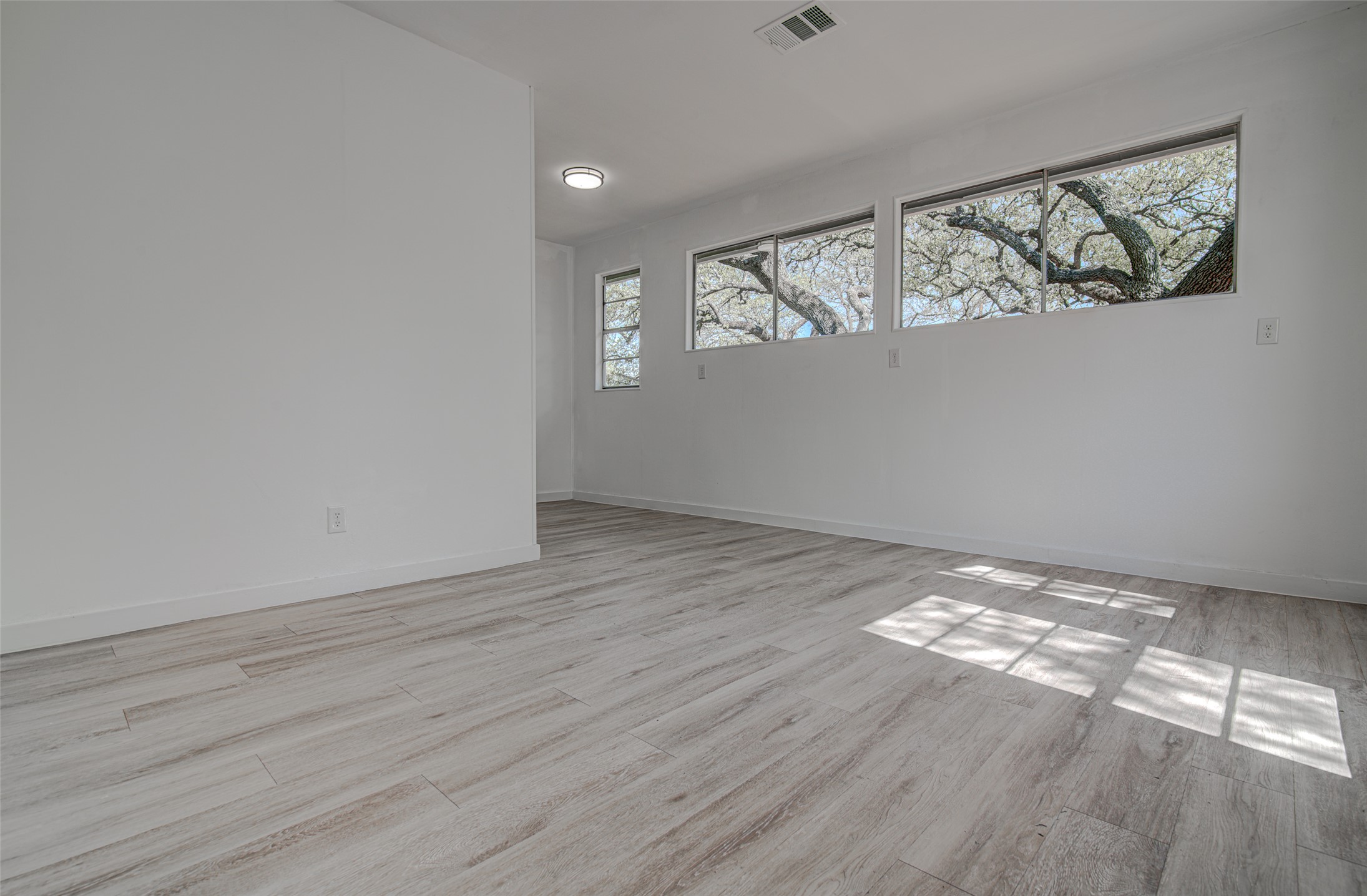 207 Haley Road Johnson City, TX 78636 - Photo 28 of 31 Natural light floods this room with contemporary plank flooring and scenic tree views.