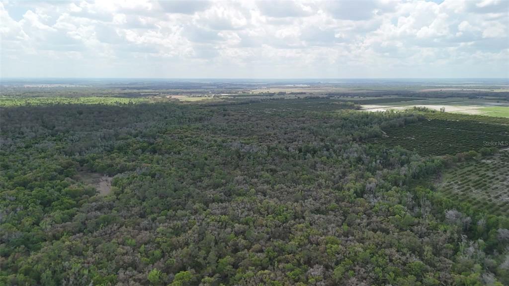 Gillette Road Zolfo Springs, FL 33890 - Photo 66 of 86 Gallery Image 66