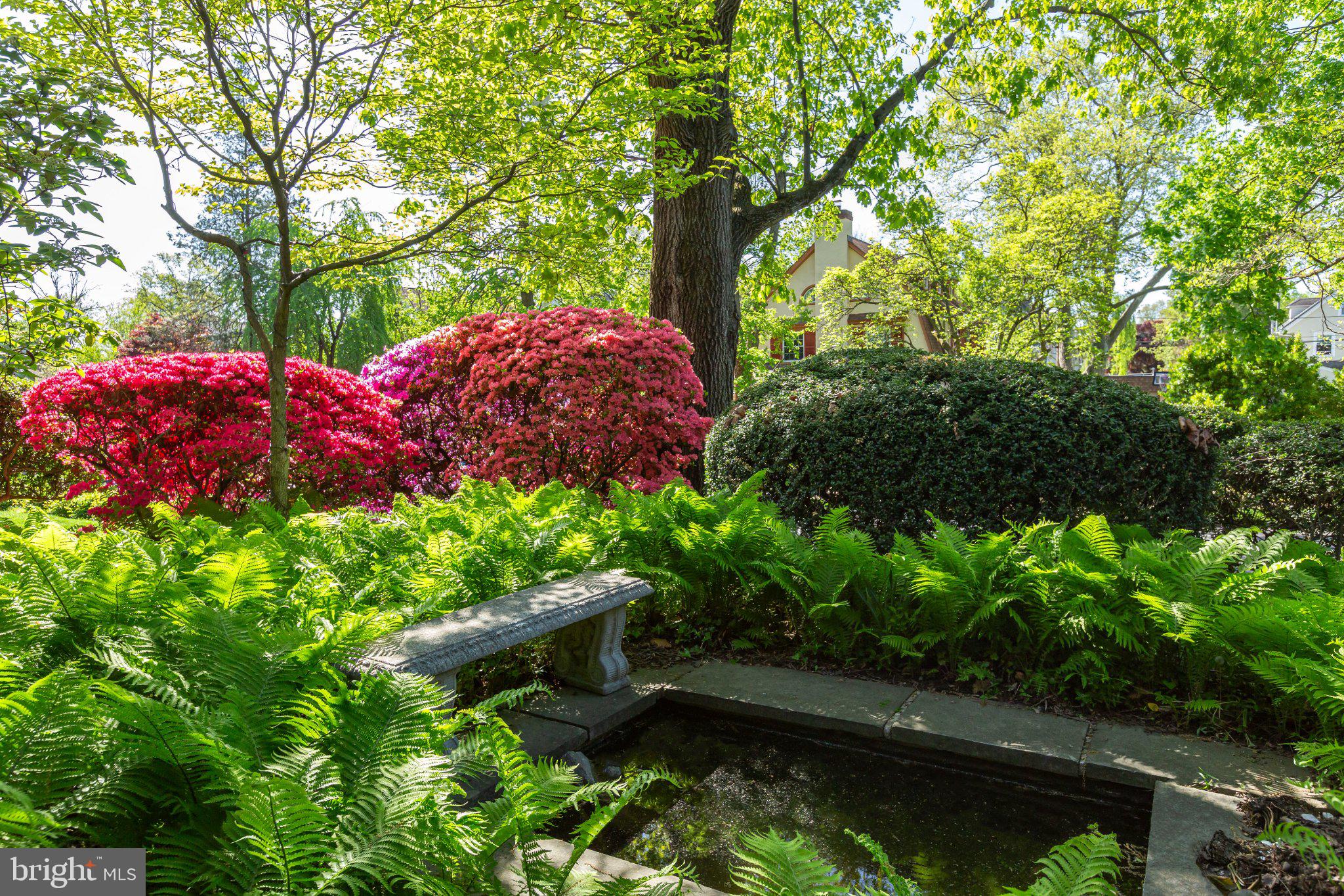 123 Penarth Road Bala Cynwyd, PA 19004 - Photo 56 of 62 Quaint Pond Surrounded by Landscaping