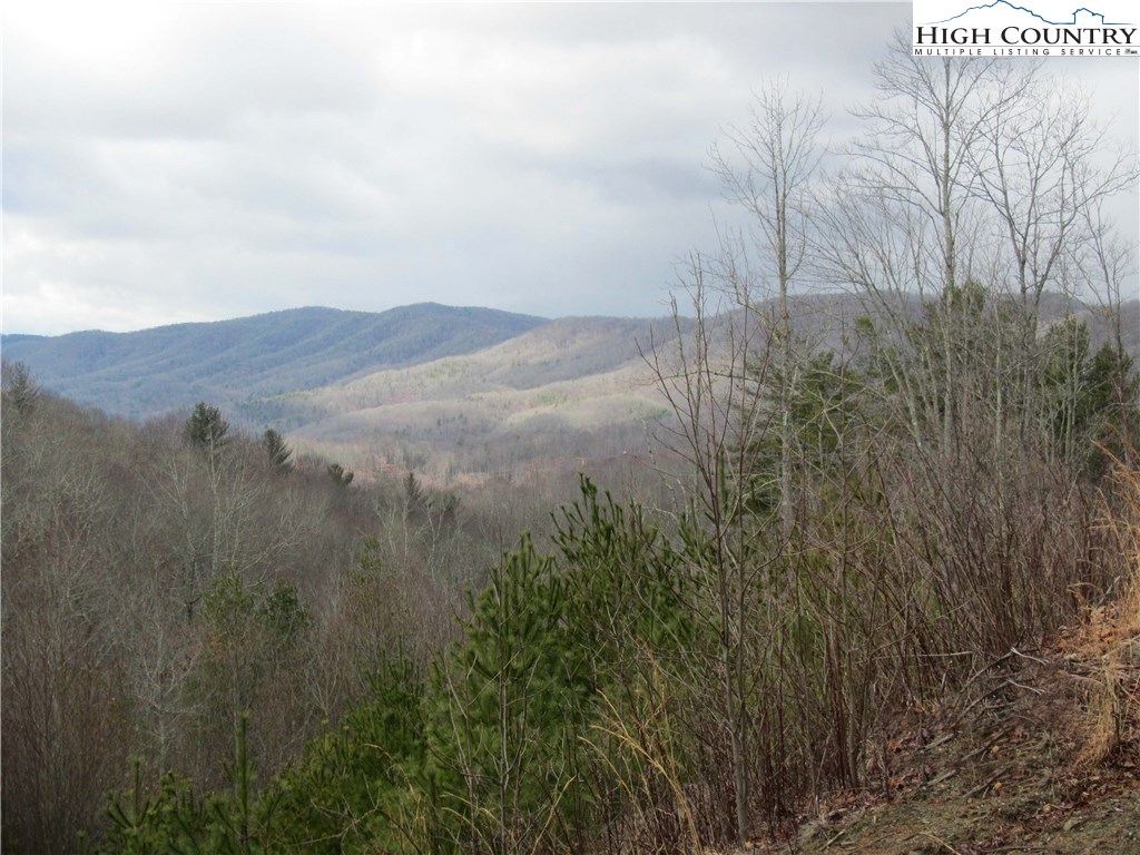 1208 Rash School Road Creston, NC 28615 - Photo 1 of 9 Gallery Image 1