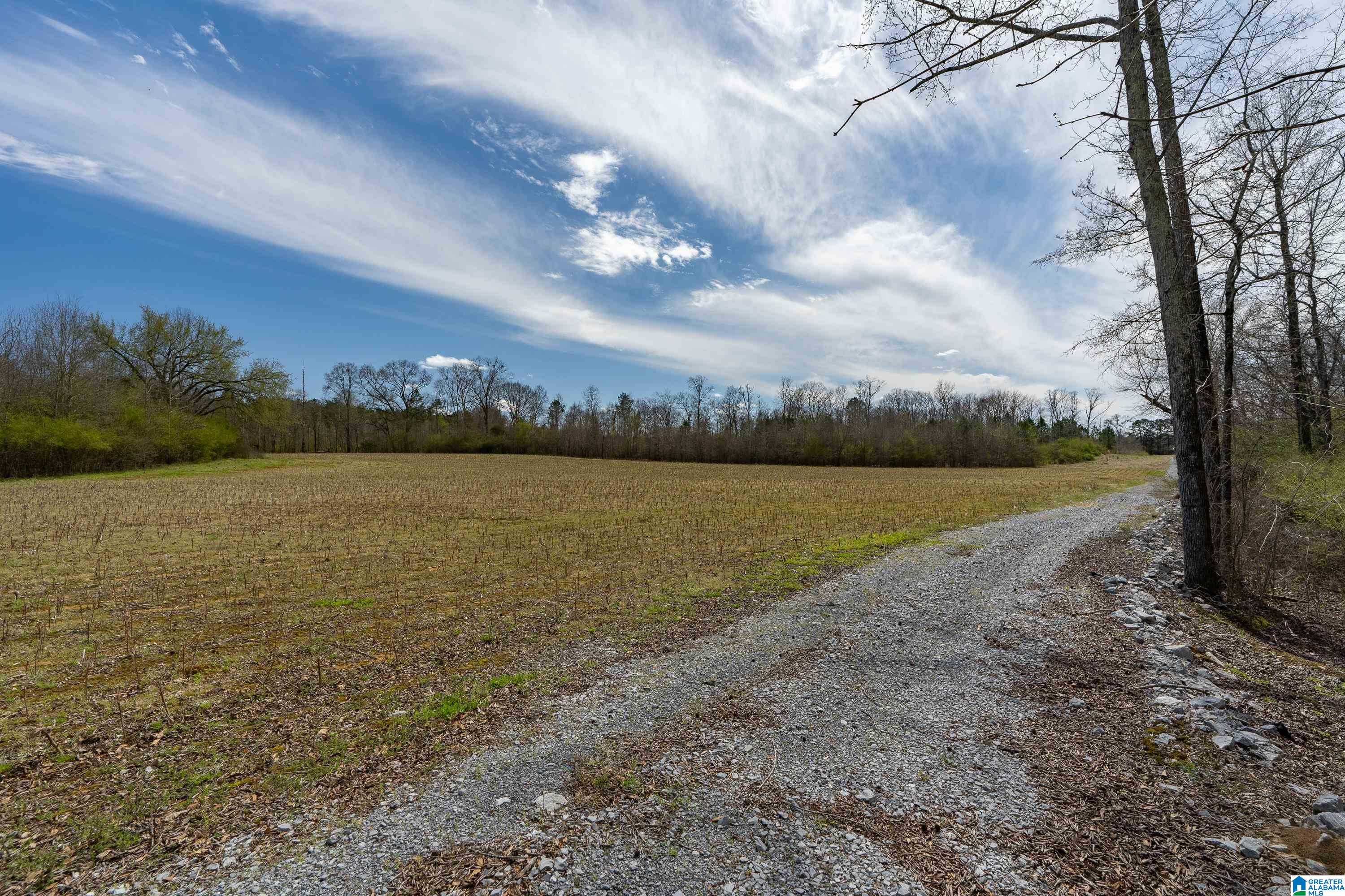 Bates Road, Unit 100 Vincent, AL 35178 - Photo 24 of 29