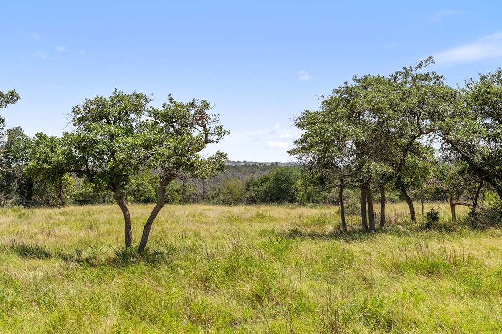51 Reeh Road, Unit 51 Fredericksburg, TX 78624 - Photo 29 of 37 Gallery Image 29