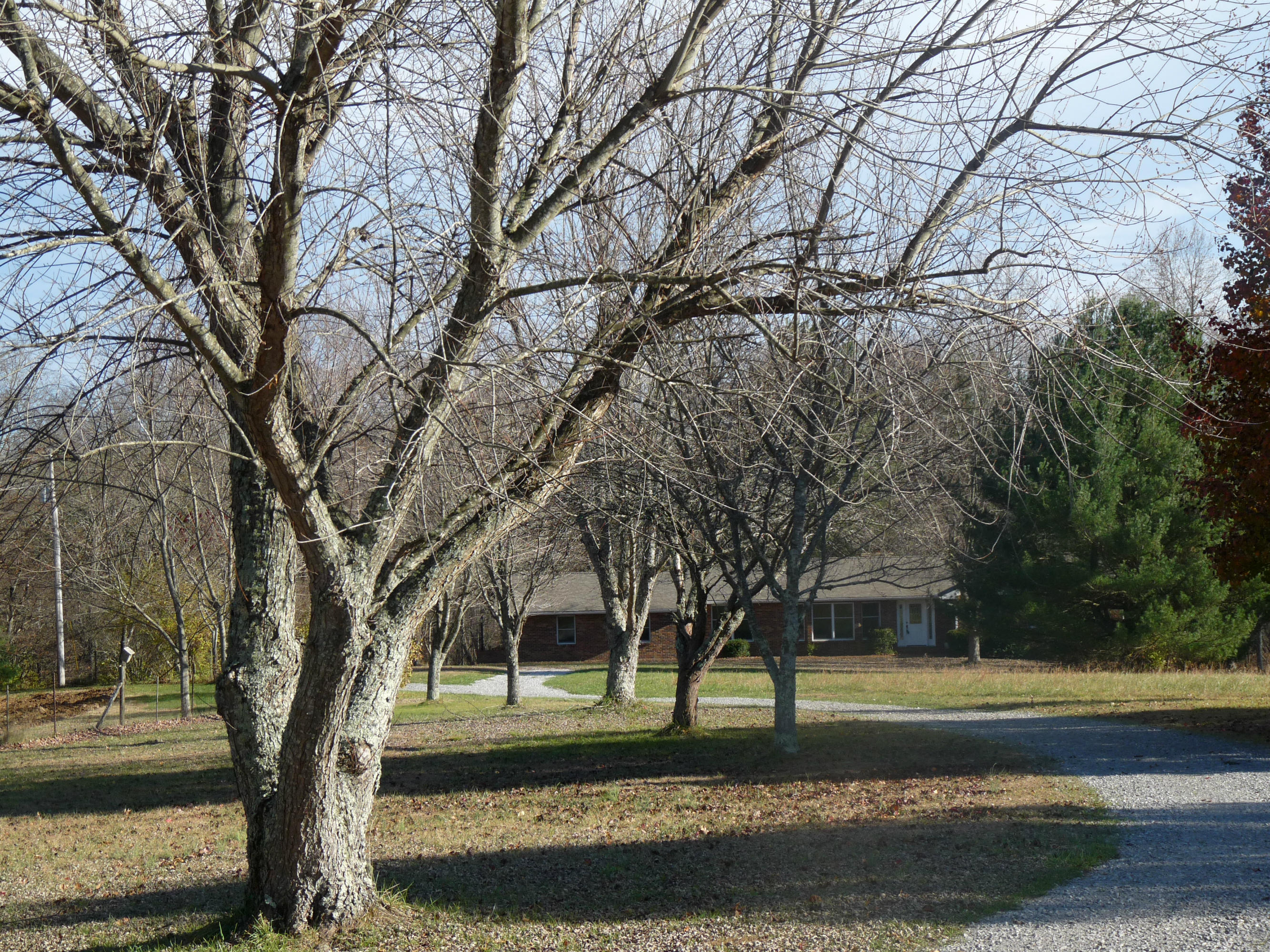 398 Red Williams Road Crossville, TN 38571 - Photo 2 of 31 398 red Williams Rd