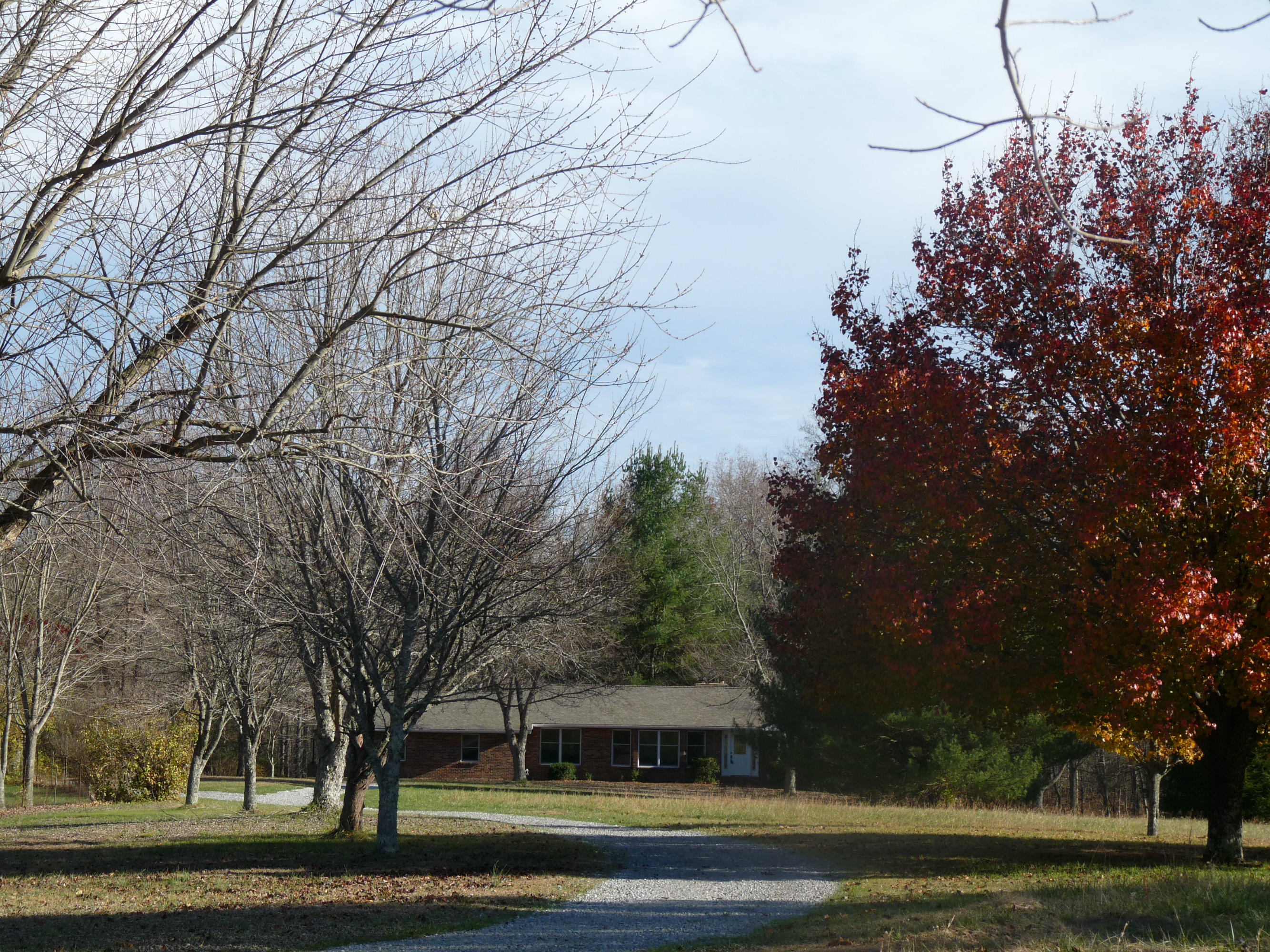 398 Red Williams Road Crossville, TN 38571 - Photo 3 of 31 398 red Williams Rd
