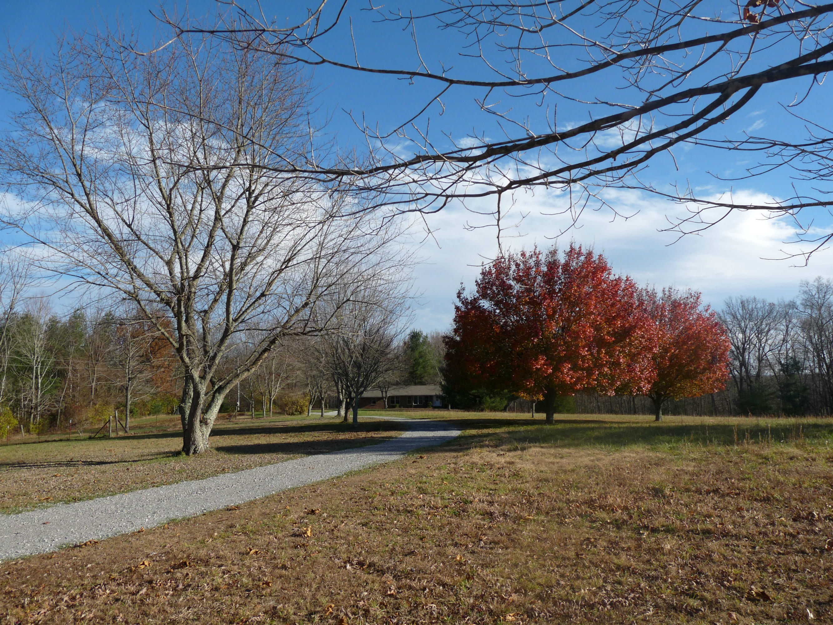 398 Red Williams Road Crossville, TN 38571 - Photo 4 of 31 398 red Williams Rd