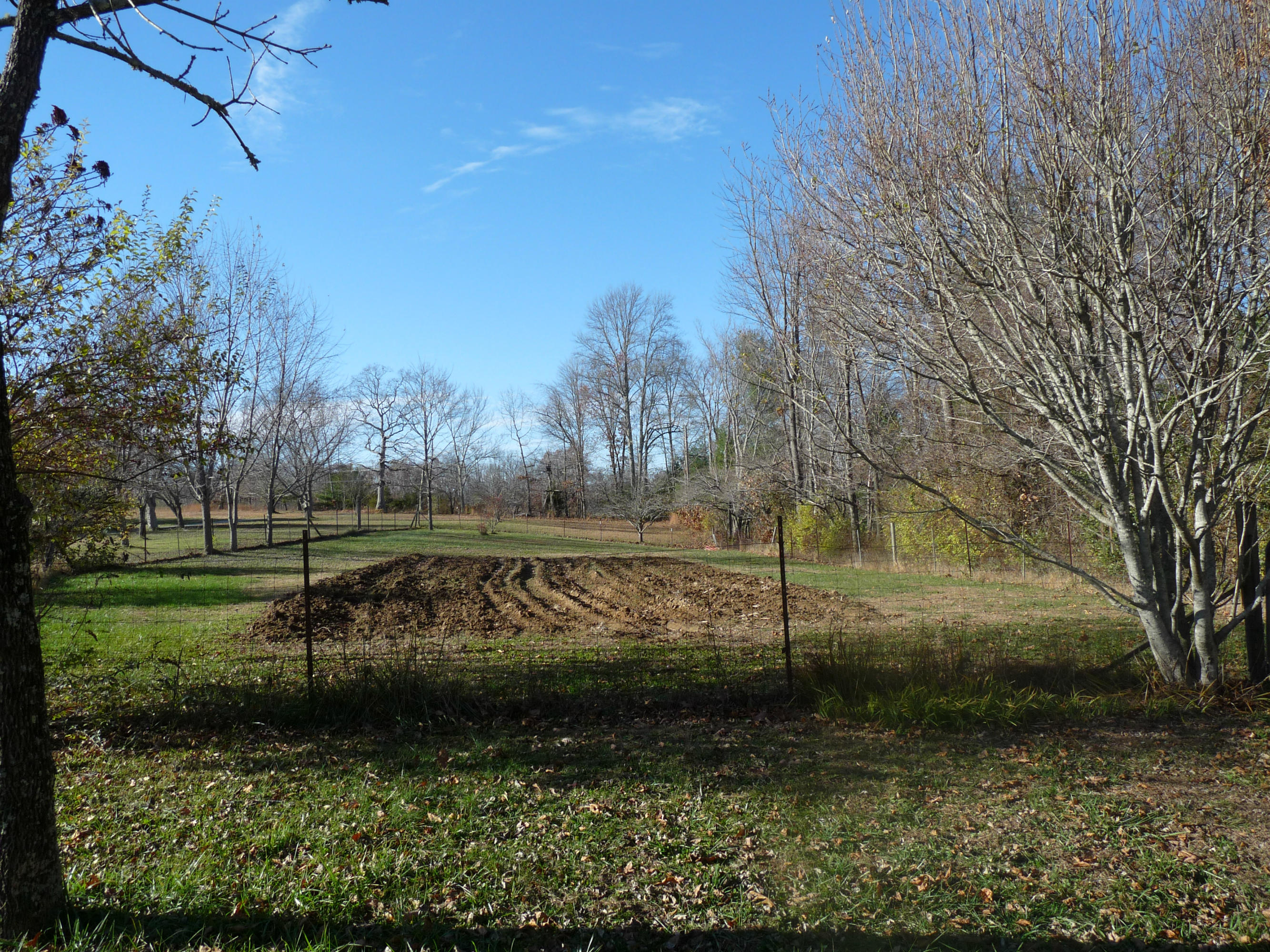 398 Red Williams Road Crossville, TN 38571 - Photo 5 of 31 398 red Williams Rd