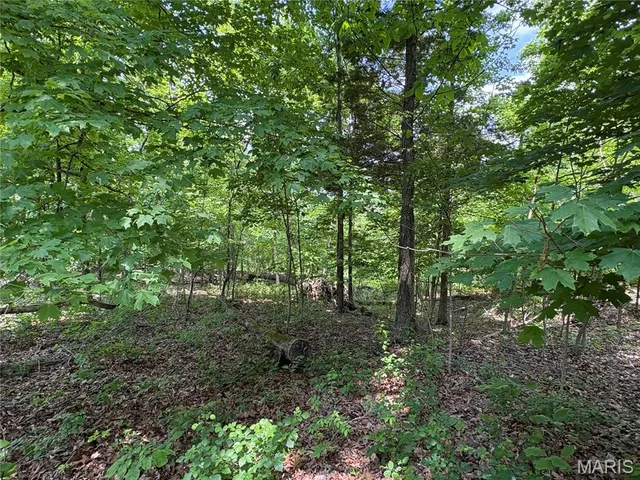 $17,000 | 5046 Port Perry Drive, Perryville, MO 63775