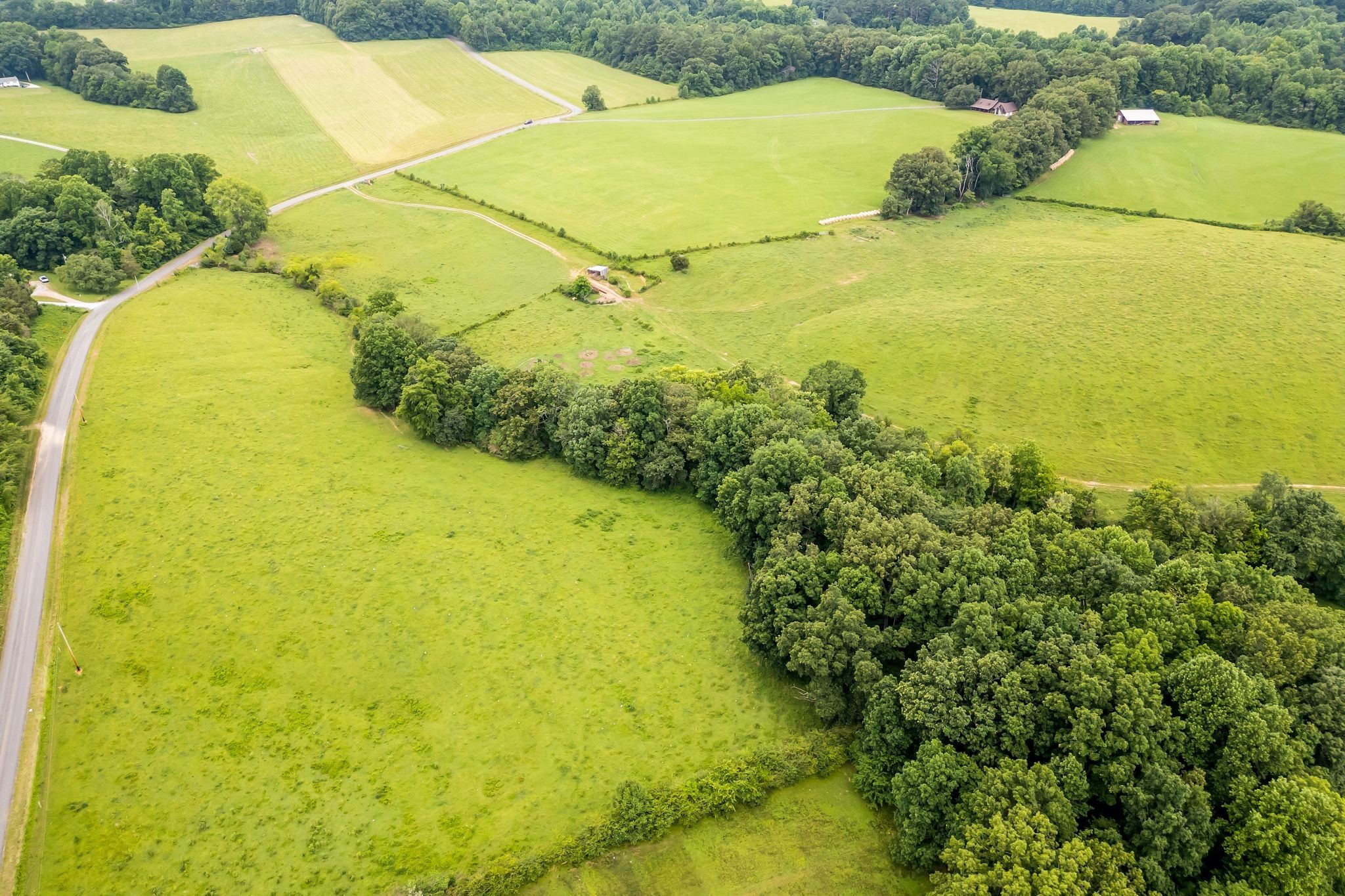 805 Goslin Branch Road Burns, TN 37029 - Photo 45 of 51