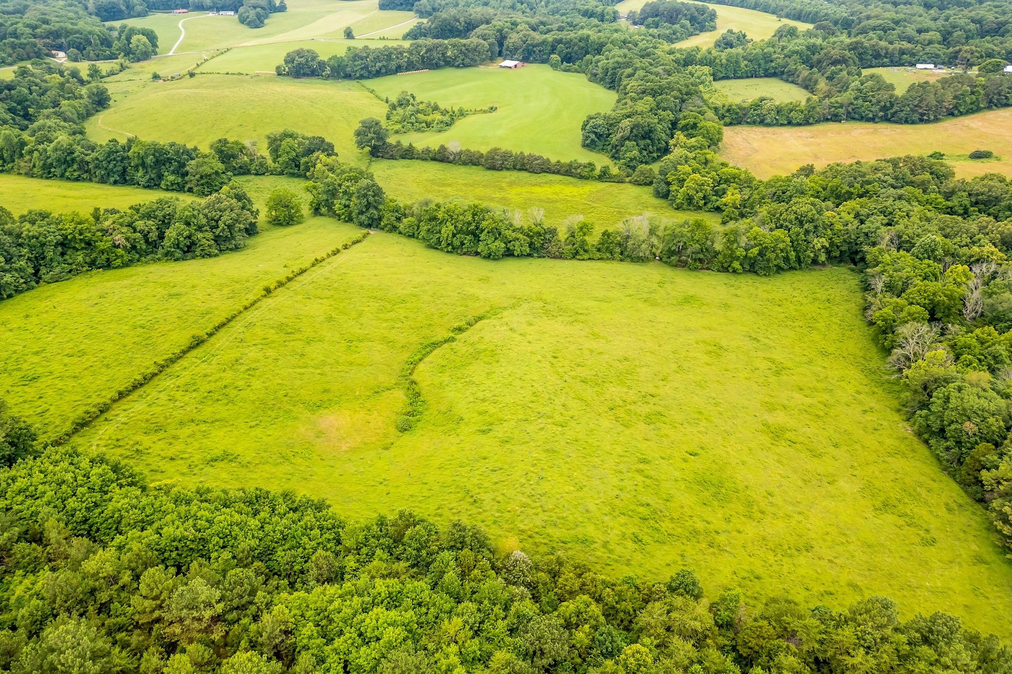 805 Goslin Branch Road Burns, TN 37029 - Photo 49 of 51