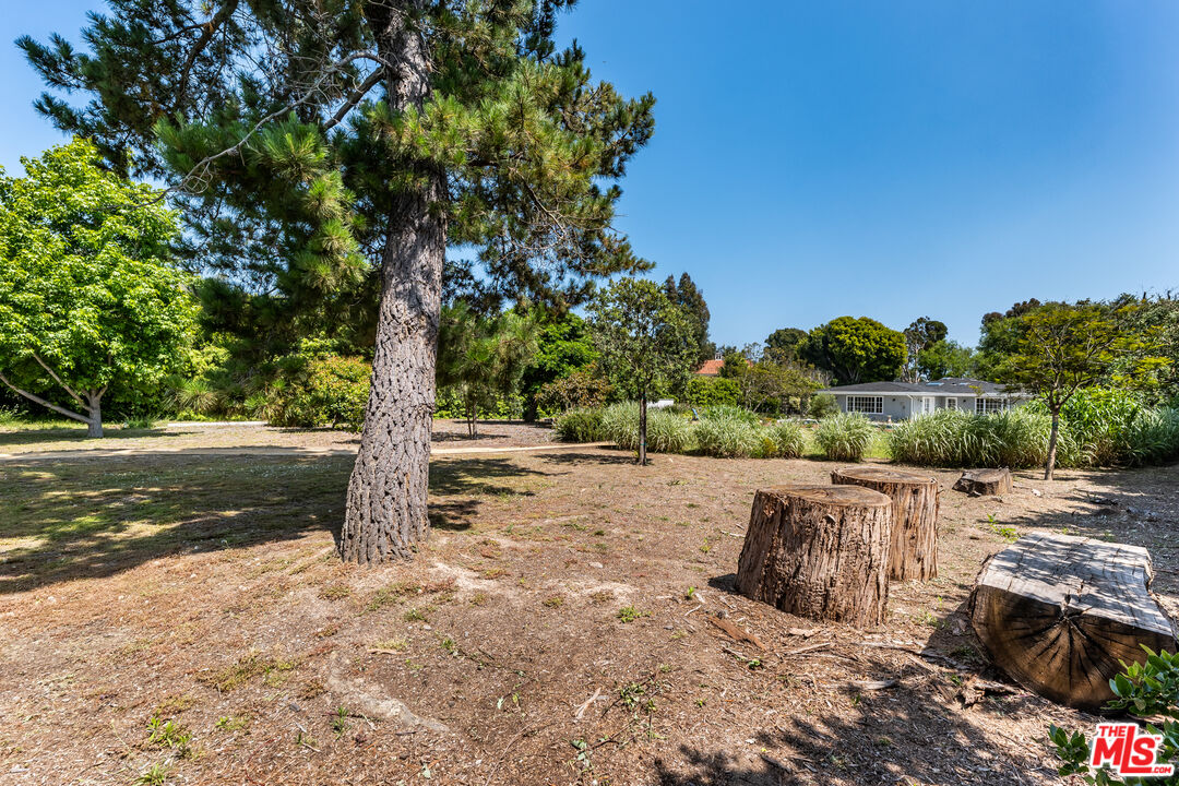 28925 Cliffside Drive Malibu, CA 90265 - Photo 54 of 62 a view of a yard with plants and trees