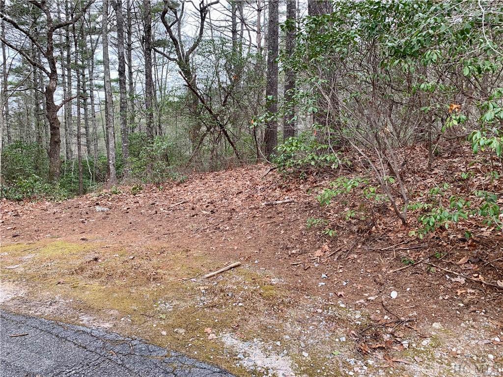 0 Rocky Ridge Road Sapphire, NC 28774 - Photo 6 of 8 Gallery Image 6