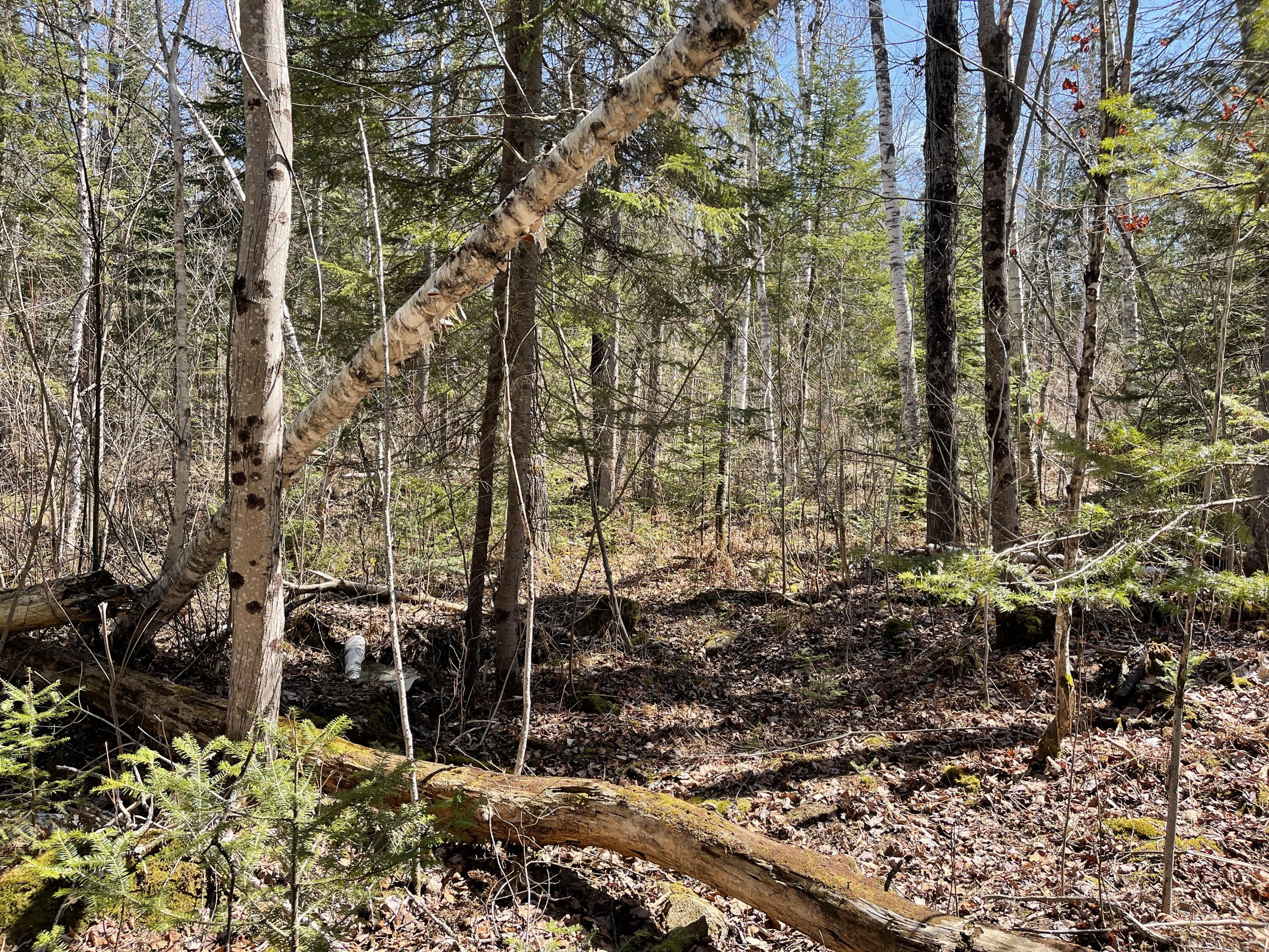 M1-l31 M1-l31 Bemis Road Oquossoc, ME 04964 - Photo 6 of 8 IMG_3532