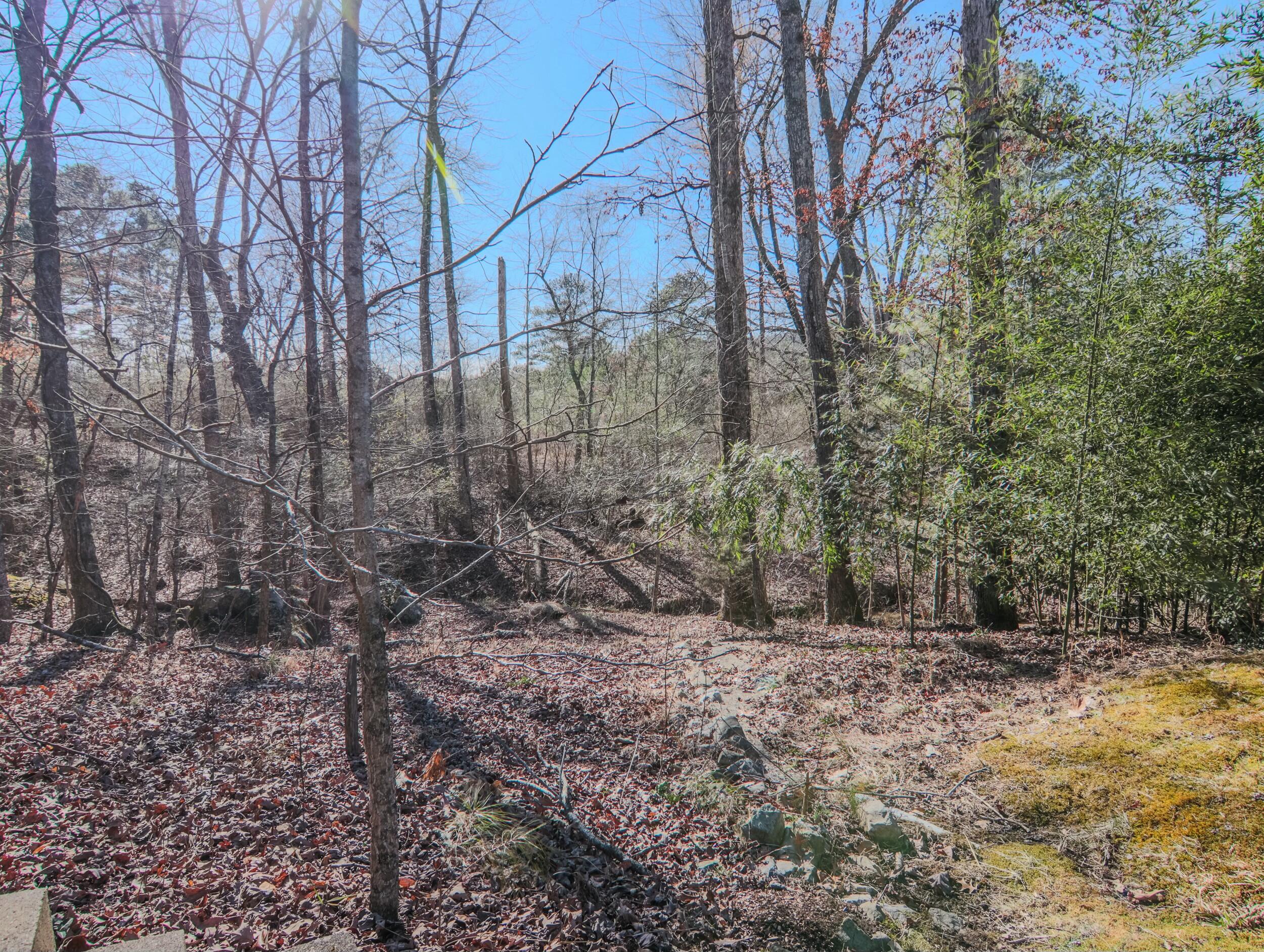 3519 Prospect Church Road Apison, TN 37302 - Photo 12 of 53 tempImage8eQ8Q5