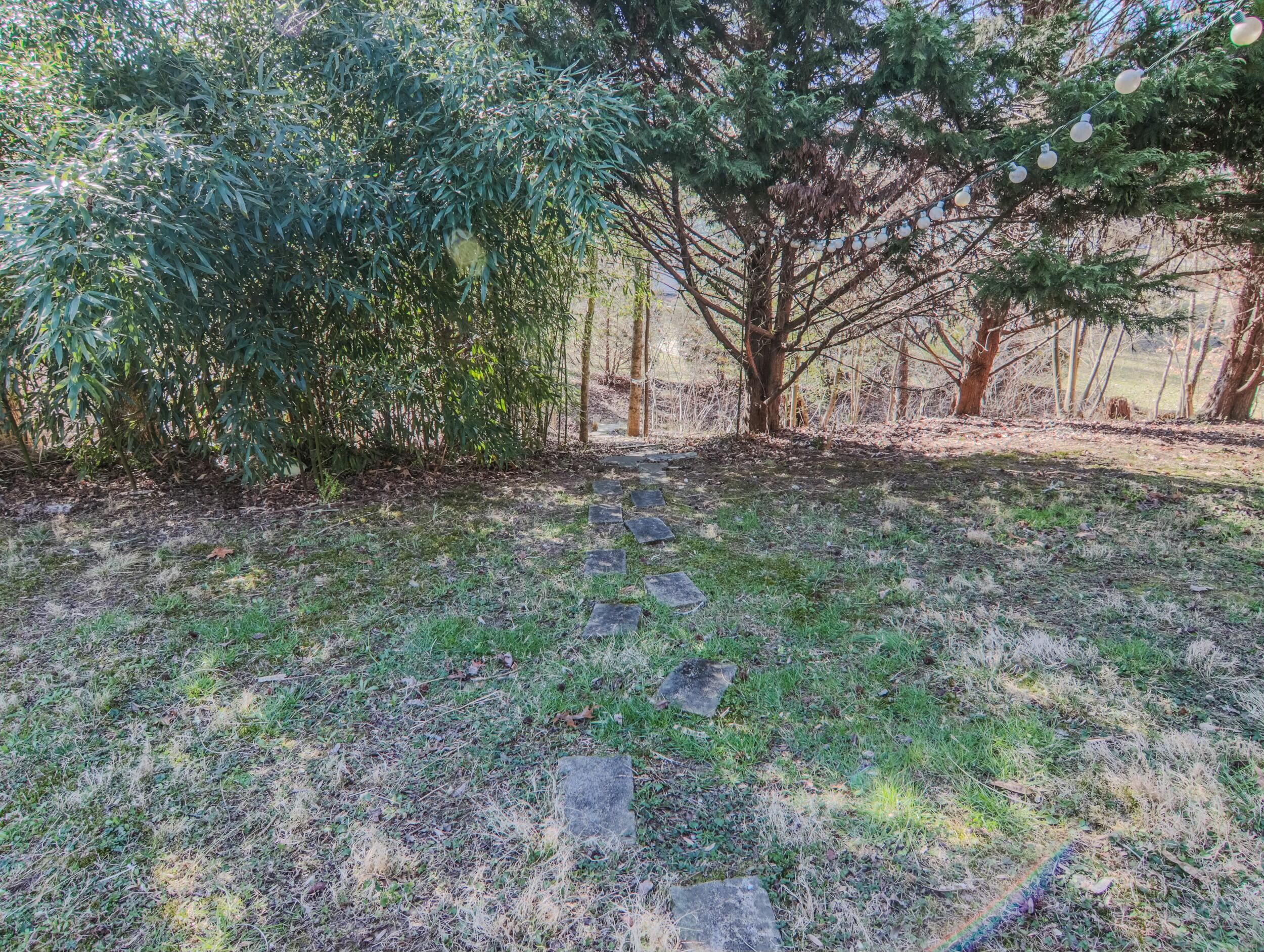 3519 Prospect Church Road Apison, TN 37302 - Photo 15 of 53 tempImageTzCT4J