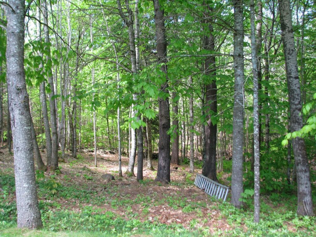 1026 Camden Road Hope, ME 04847 - Photo 34 of 35 Photo