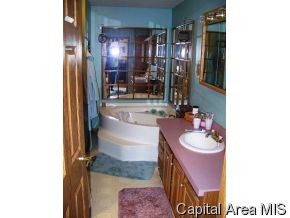841 Fairview Road Bluffs, IL 62621 - Photo 5 of 10