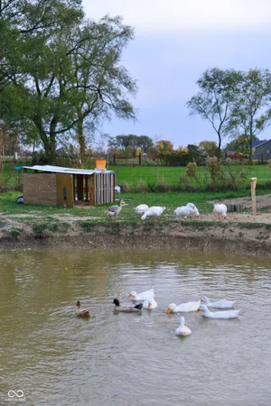 $425,000 | 6286 North 50 East, Fortville, IN 46040