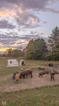 $425,000 | 6286 North 50 East, Fortville, IN 46040