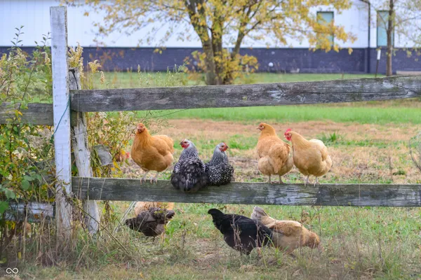 $425,000 | 6286 North 50 East, Fortville, IN 46040