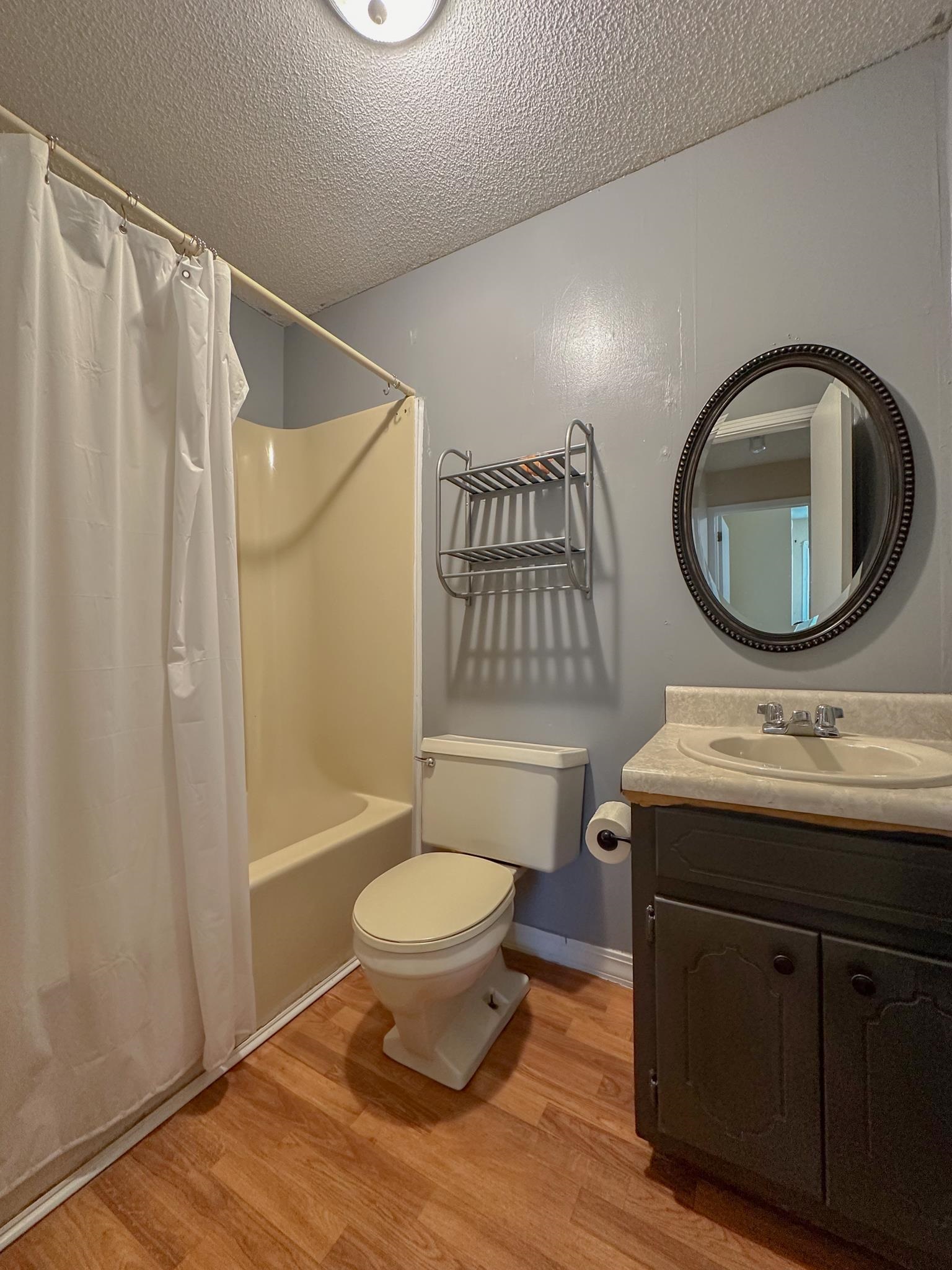 32 County Road 178 Iuka, MS 38852 - Photo 9 of 16 a bathroom with a toilet a sink and a mirror
