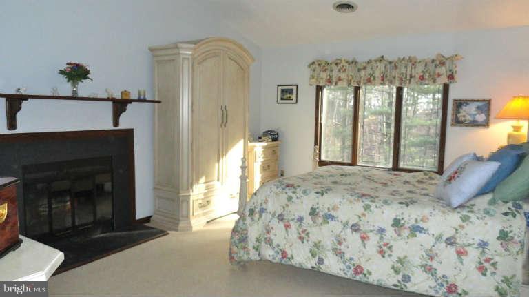 3006 Benson Mill Road Upperco, MD 21155 - Photo 12 of 30 Master Bedroom has wood burning fireplace
