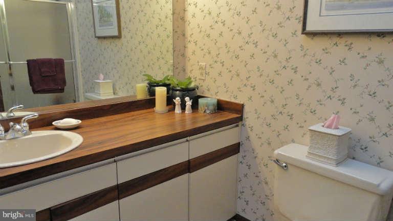 3006 Benson Mill Road Upperco, MD 21155 - Photo 20 of 30 Hallway Full Bath