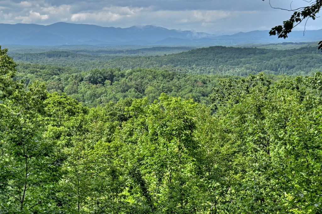 548 Mountain Highlands Court Blue Ridge, GA 30513 - Photo 19 of 33 Gallery Image 19
