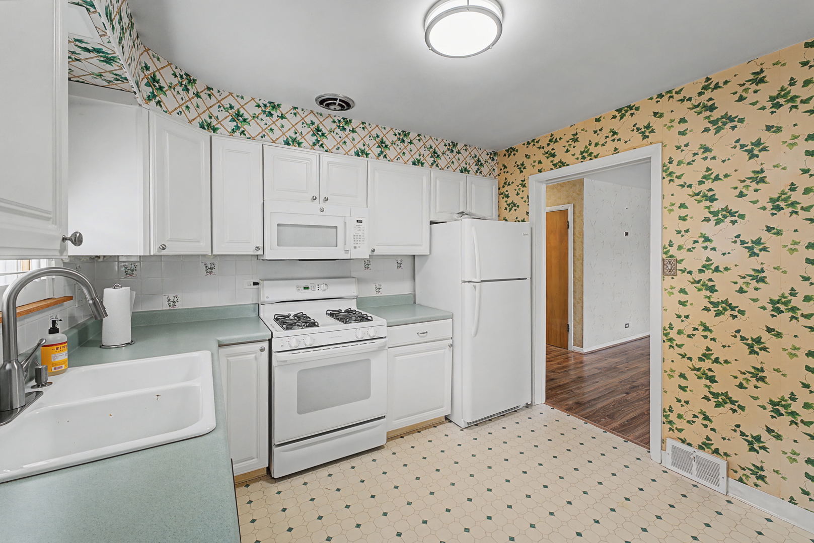 408 South Albert Street Mount Prospect, IL 60056 - Photo 7 of 17