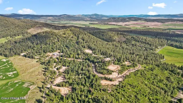 $329,999 | Lot 7 Lone Moose Drive, Plummer, ID 83851