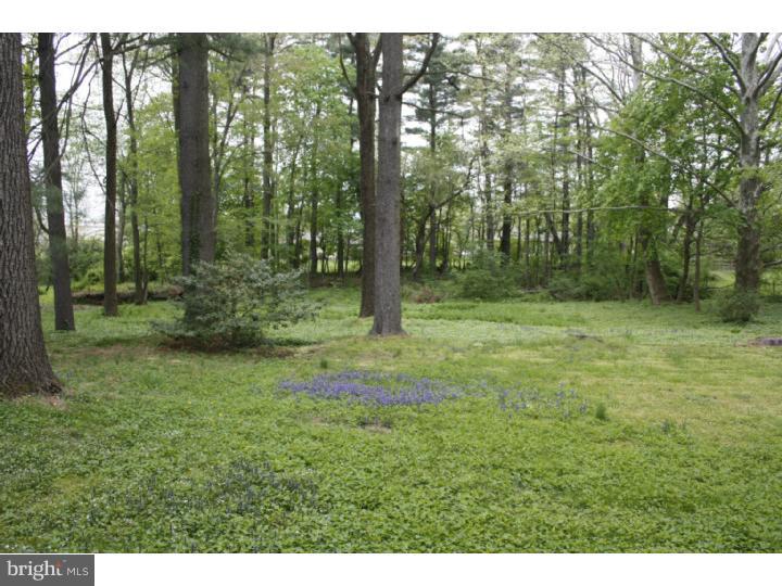 625 Montgomery Road Ambler, PA 19002 - Photo 4 of 11 View in Back