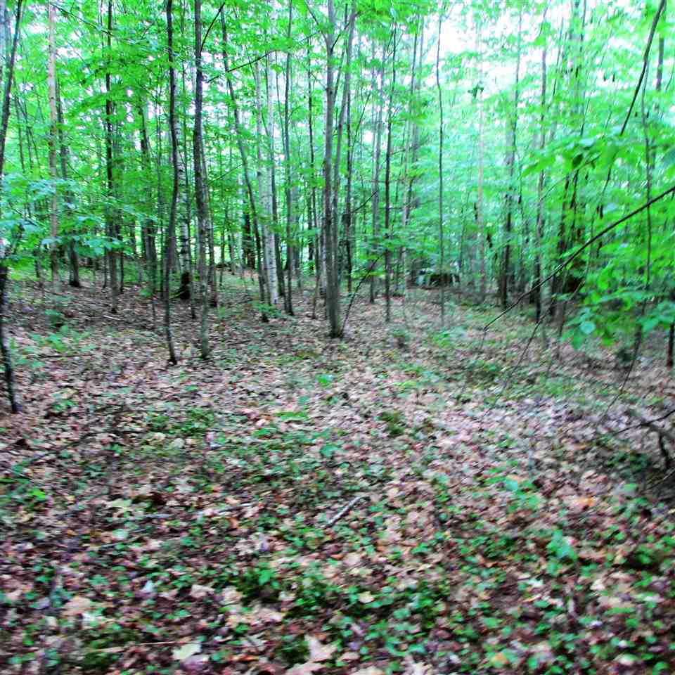 160 Ellingwood Road Halifax, VT 05301 - Photo 14 of 18