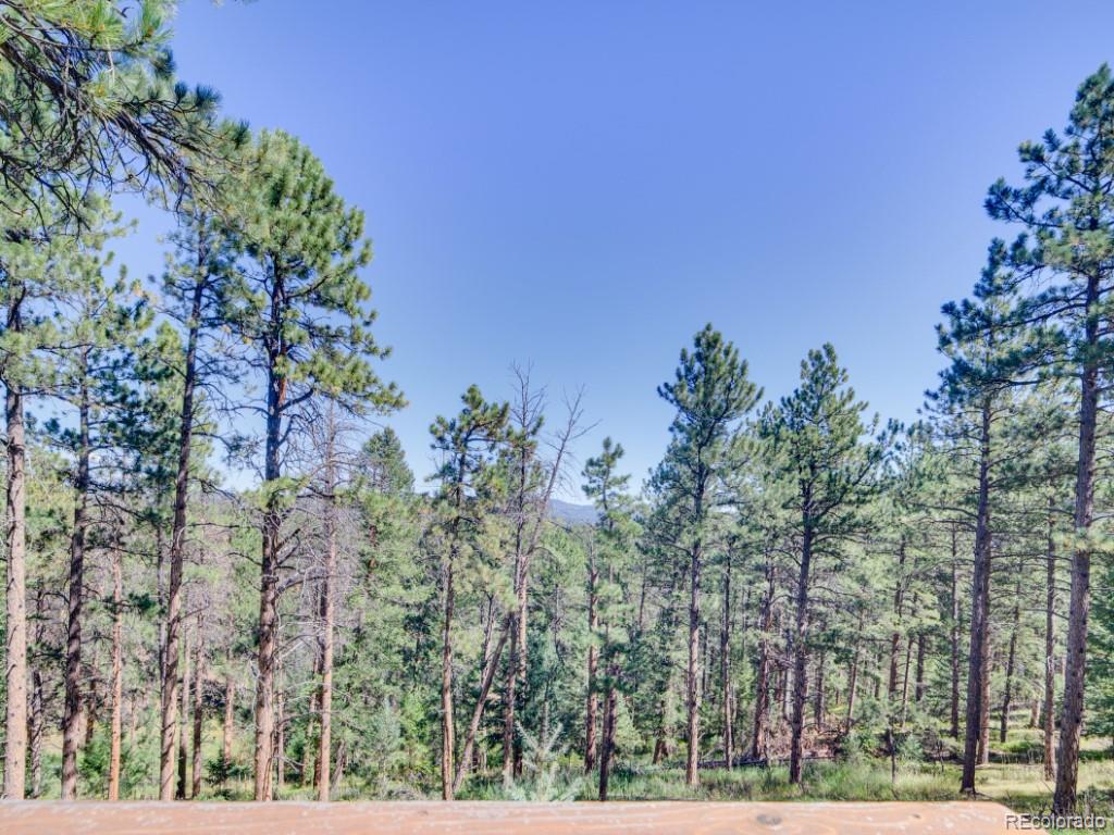 29203 Lee Road Evergreen, CO 80439 - Photo 41 of 42 Gallery Image 41