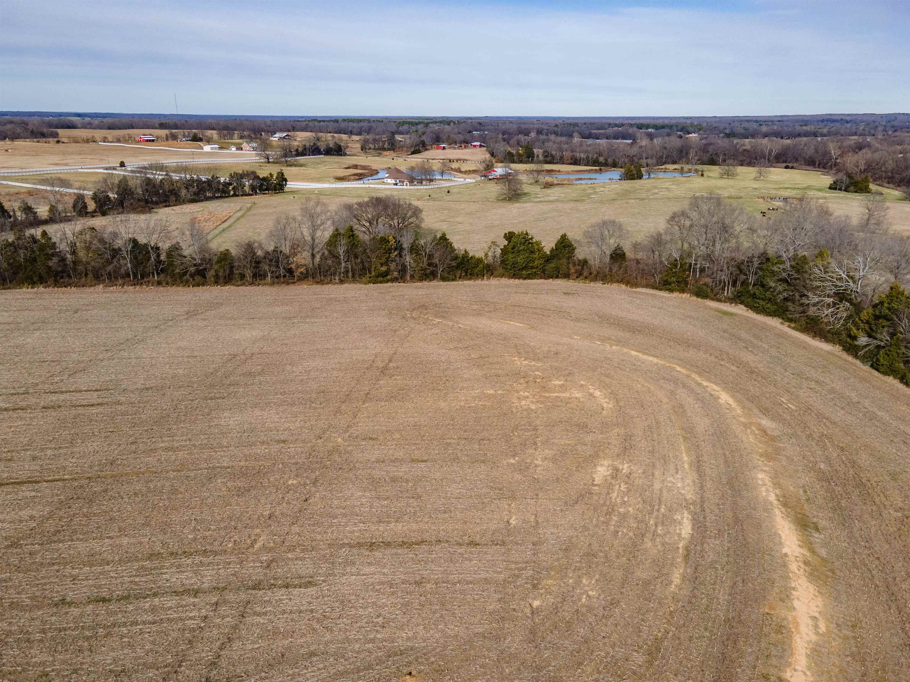 Mt Moriah Road Somerville, TN 38068 - Photo 2 of 5 Overview of rural landscape