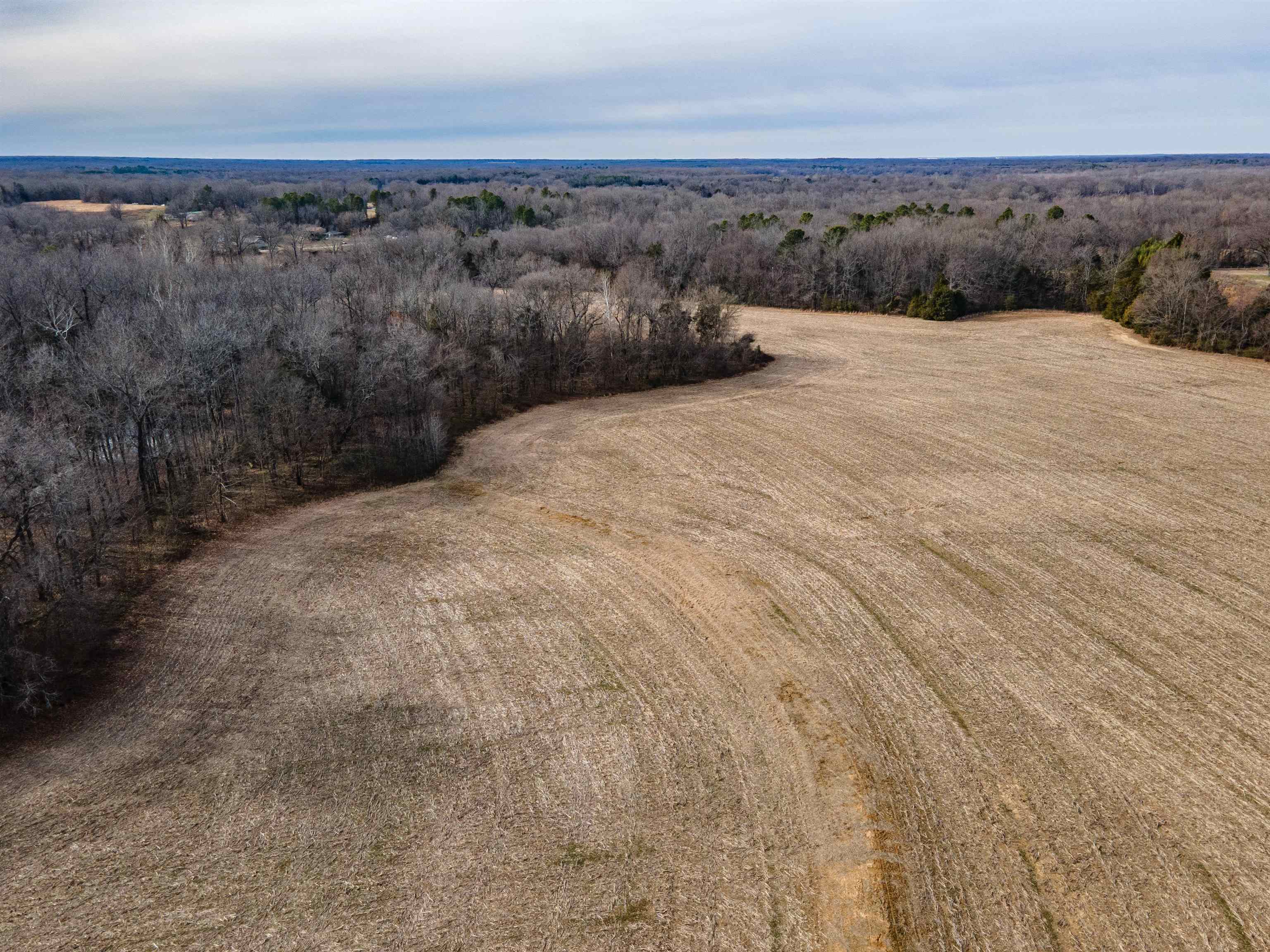 Mt Moriah Road Somerville, TN 38068 - Photo 3 of 5 View of rural area