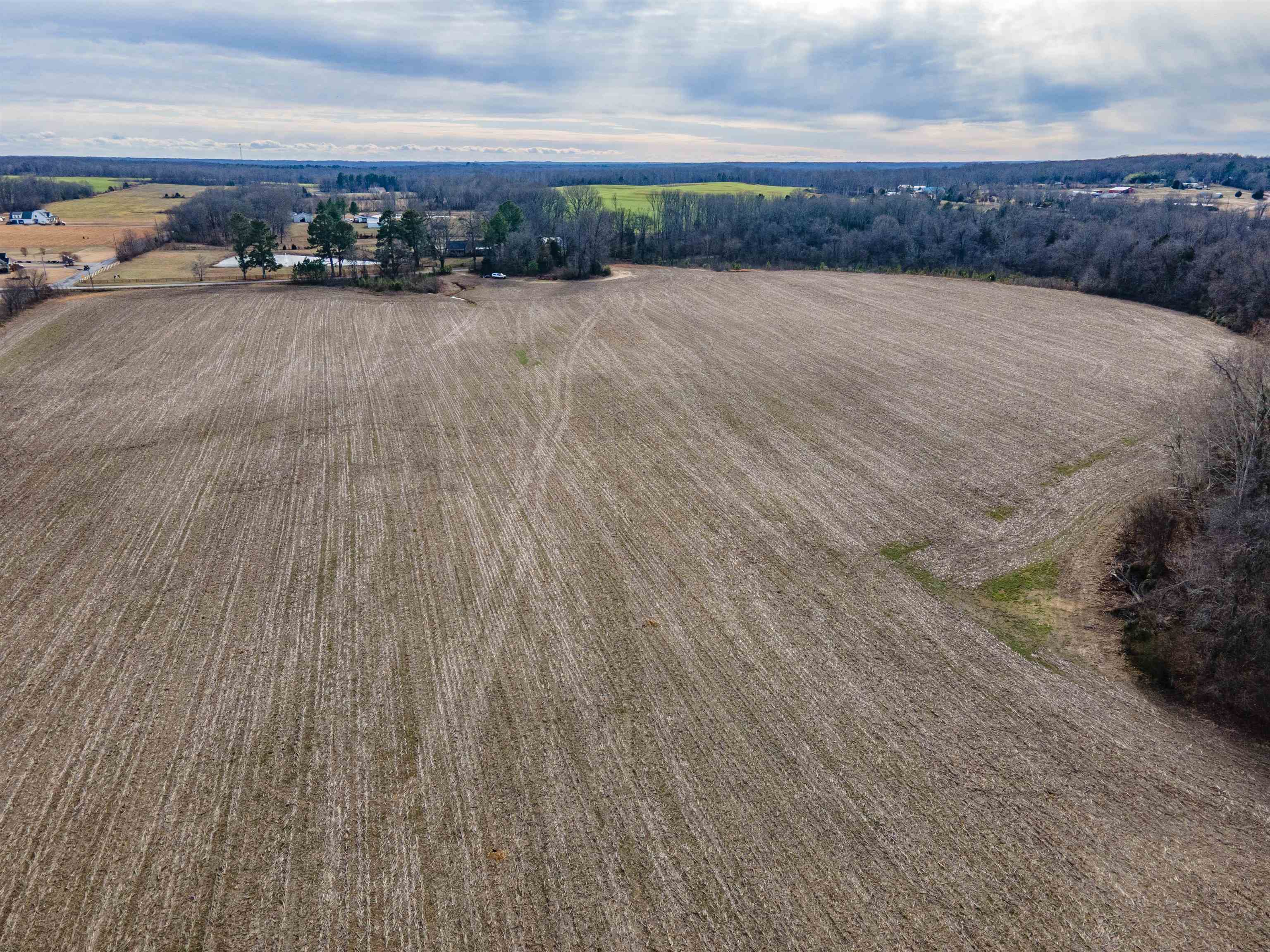 Mt Moriah Road Somerville, TN 38068 - Photo 4 of 5 View of rural area featuring large plots for crops
