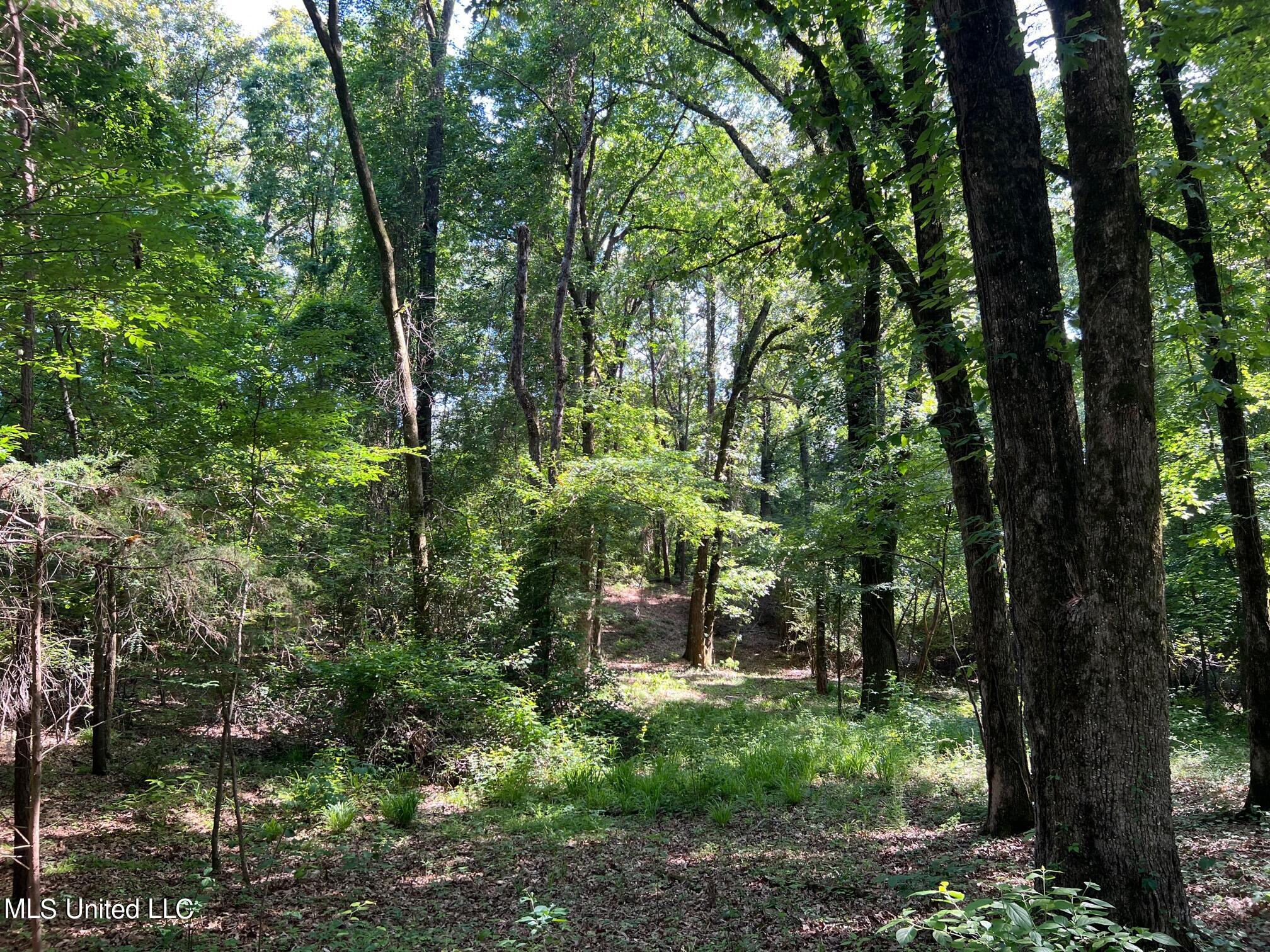 North Livingston Road Madison, MS 39110 - Photo 11 of 26 IMG_3178