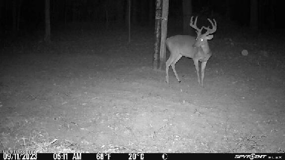 North Livingston Road Madison, MS 39110 - Photo 23 of 26 Image-1_9_