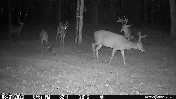 North Livingston Road Madison, MS 39110 - Photo 24 of 26 Image-1_11_