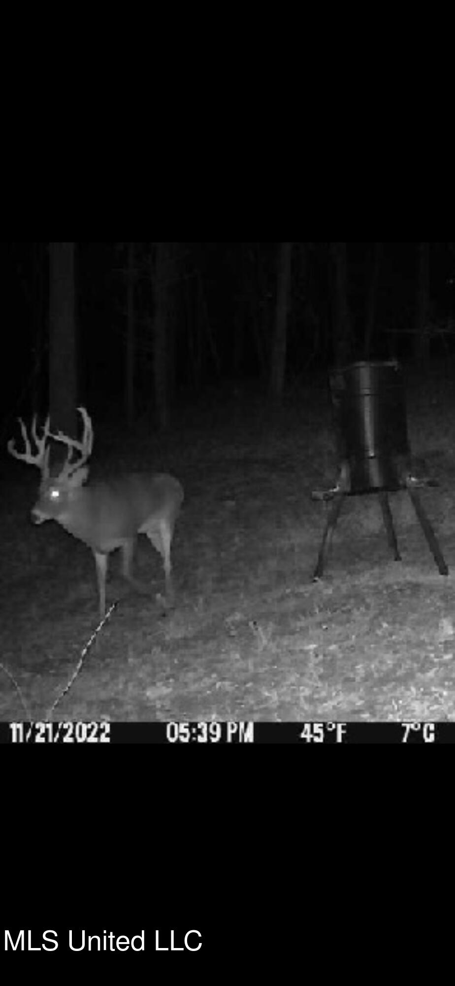 North Livingston Road Madison, MS 39110 - Photo 25 of 26 IMG_5298