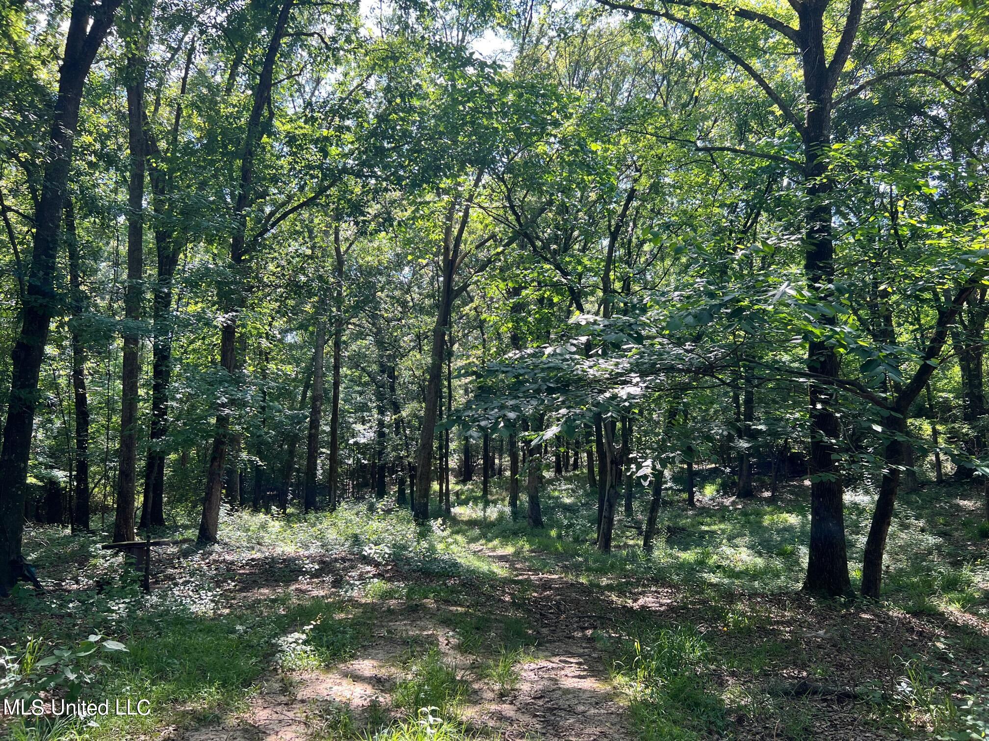 North Livingston Road Madison, MS 39110 - Photo 3 of 26 IMG_3168