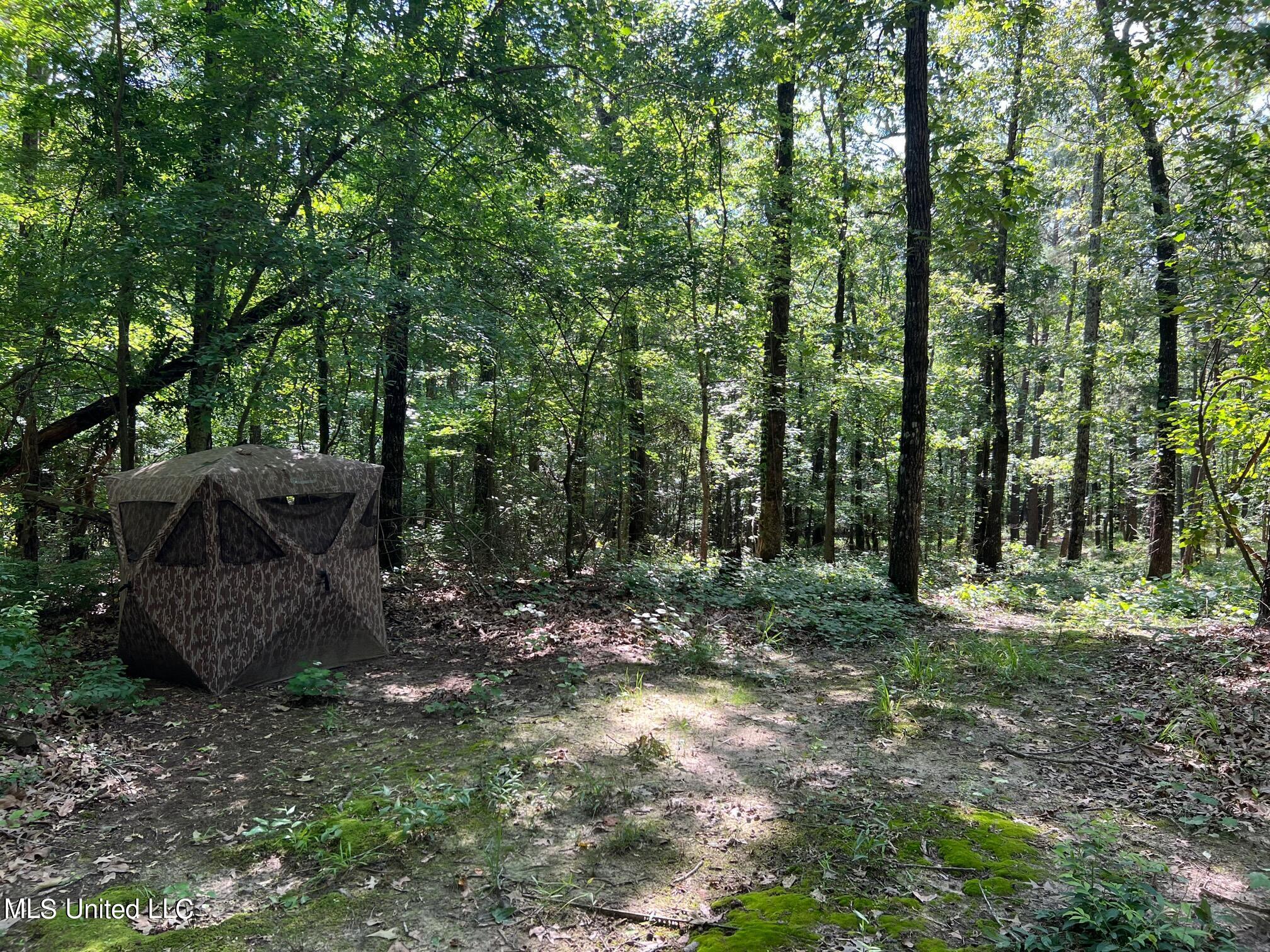 North Livingston Road Madison, MS 39110 - Photo 6 of 26 IMG_3171