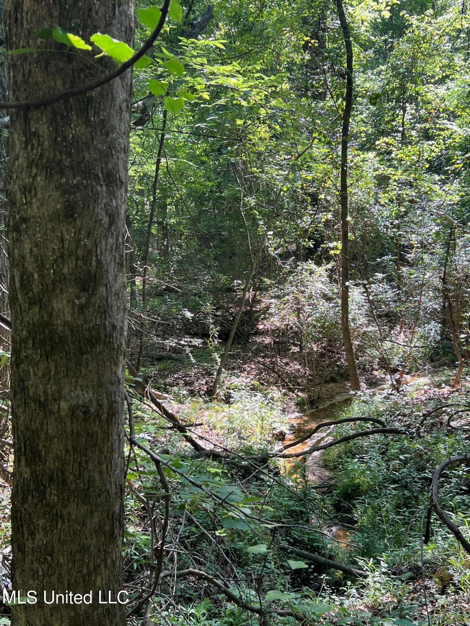 North Livingston Road Madison, MS 39110 - Photo 9 of 26 IMG_3176